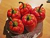 Rezeptbild