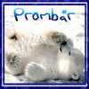 Das ist Prombear!