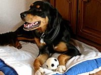 Das ist Ingemarie!