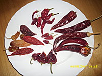 Das ist chilli-junki!