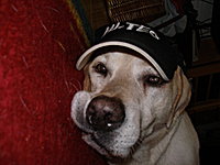 Das ist labbyerik!