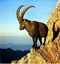 Das ist leckermausi61!