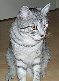 Das ist Almyra!