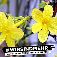 Das ist jasmin45!