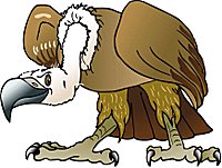 Das ist schraegervogel!