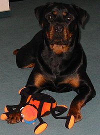 Das ist ratzdieruebe!