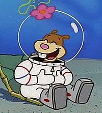 Das ist SandyCheeks!
