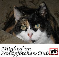 Das ist Elfenlied!