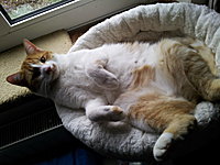 Das ist Gaby3!