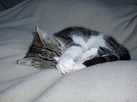 Das ist Tiffyx!