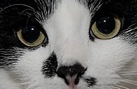 Das ist Poison-Yvi!