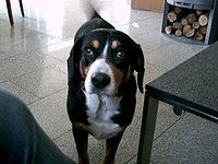 Das ist braintina!