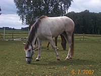 Das ist alegra35!