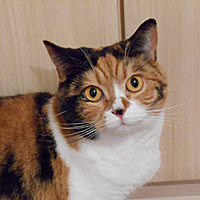 Das ist Möhrchen51!
