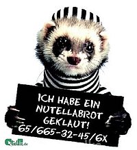 Das ist Biggili!