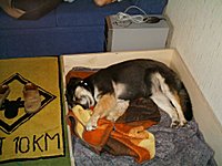 Das ist Kirsten71!