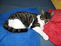 Das ist paeonie7!