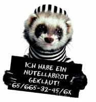 Das ist Korni57!