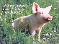 Das ist Louse79!