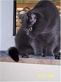 Das ist realnaddel!