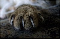 Das ist katerteddy2000!