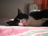Das ist Marioni!