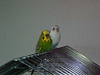 Das ist hierich2!