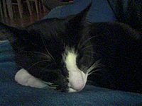 Das ist Der_kleine_Hobbit!