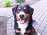 Das ist mascha!