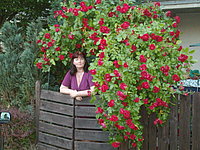 Das ist donnabella66!