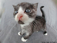 Das ist brenny!