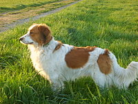 Das ist sunnygoe!