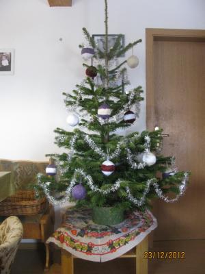 Wie schmückt ihr euren Weihnachtsbaum? | Freizeitvergnügen Forum ... Wie schmückt ihr euren Weihnachtsbaum? | Freizeitvergnügen Forum ...